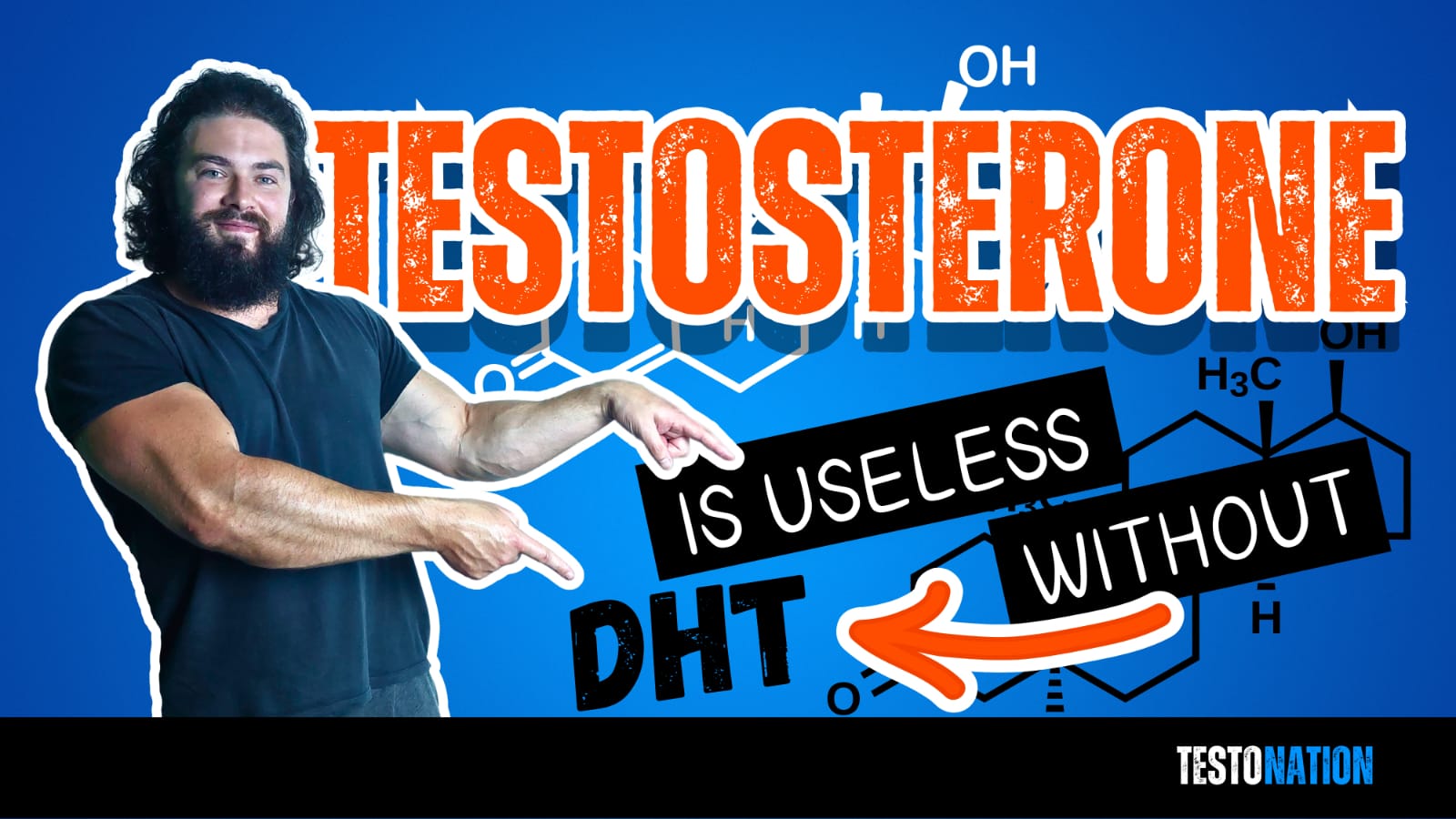 DHT testosterone androgen receptor